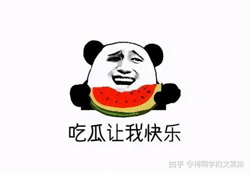 吃瓜的都是真的吗,真相还是谣言? 第1张 吃瓜的都是真的吗,真相还是谣言? 第1张